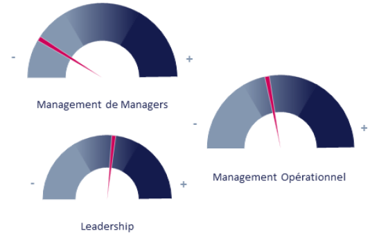 évaluation de compétences en management