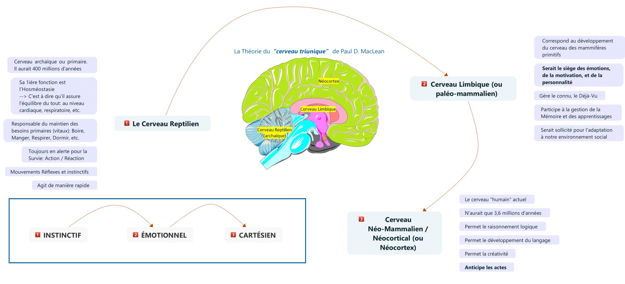 cerveau triunique de Paul D. MacLean